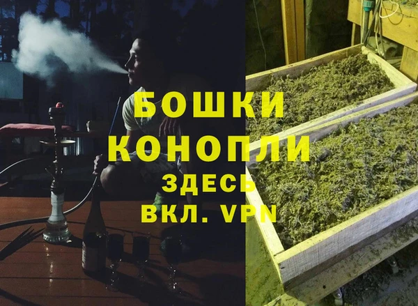 ALPHA PVP Белокуриха