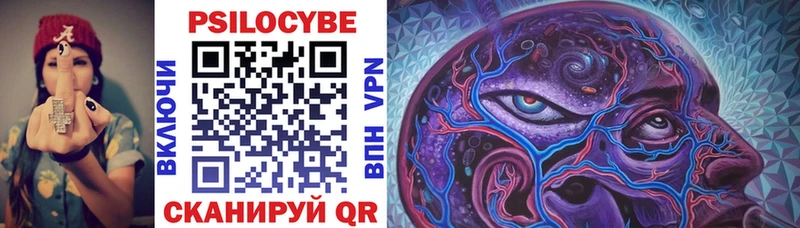Псилоцибиновые грибы Psilocybe  Купить  Емва 
